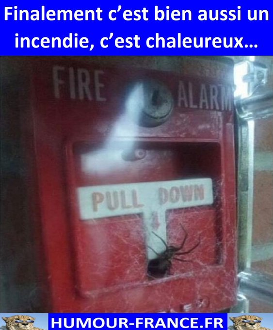 text alternatif