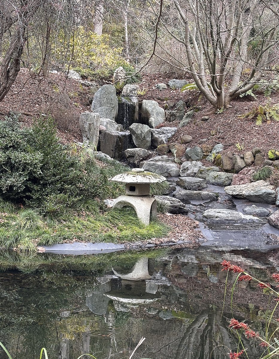 The Garden is closed today, 2/13, due to the rain and high wind advisory. Please stay tuned to our social media and website for updates. #ucbg