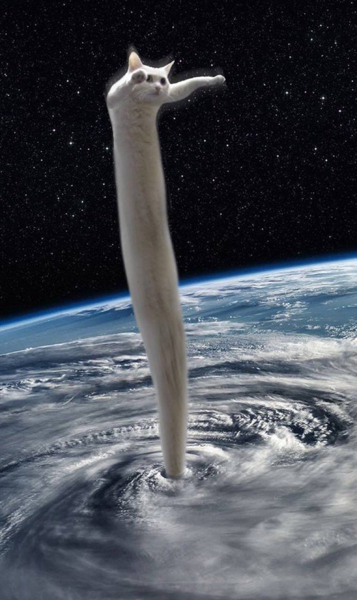 Rickyfromtheislands tweet media