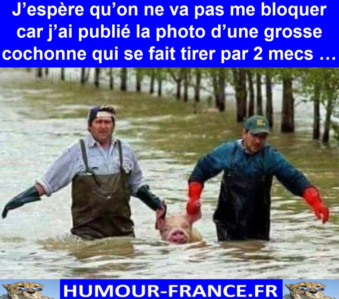 text alternatif