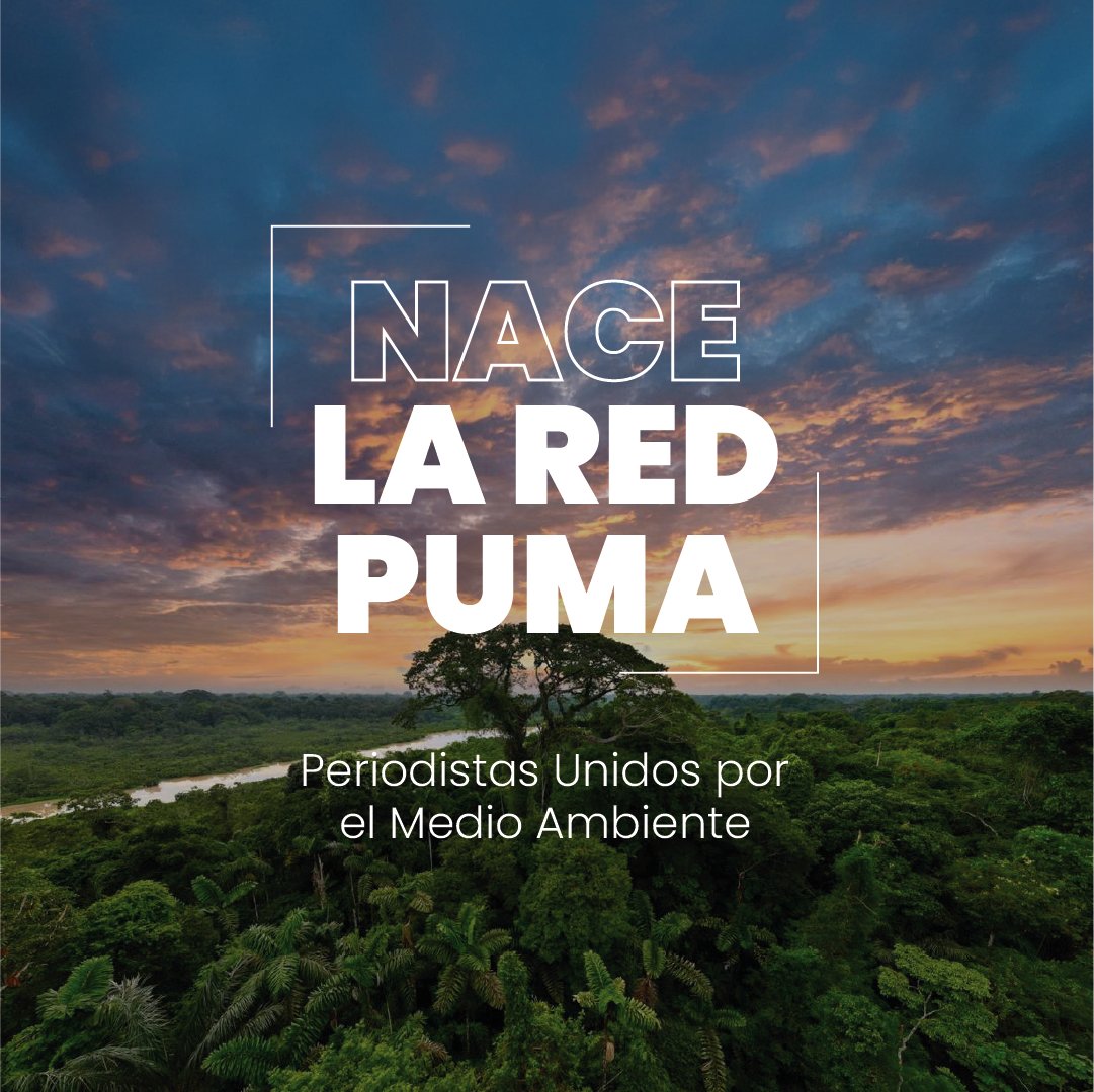MongabayLatam's tweet photo. 🥳🐯 #REDPUMA🌎
Lanzamos la #REDPUMA, una iniciativa para seguir investigando y contando las historias ambientales más importantes de Latinoamérica. Más de 90 periodistas buscan seguir promoviendo el periodismo ambiental y el trabajo colaborativo. 🦎🧵⬇️ https://t.co/uhL2e4sm5M https://t.co/6d1TanVg8A