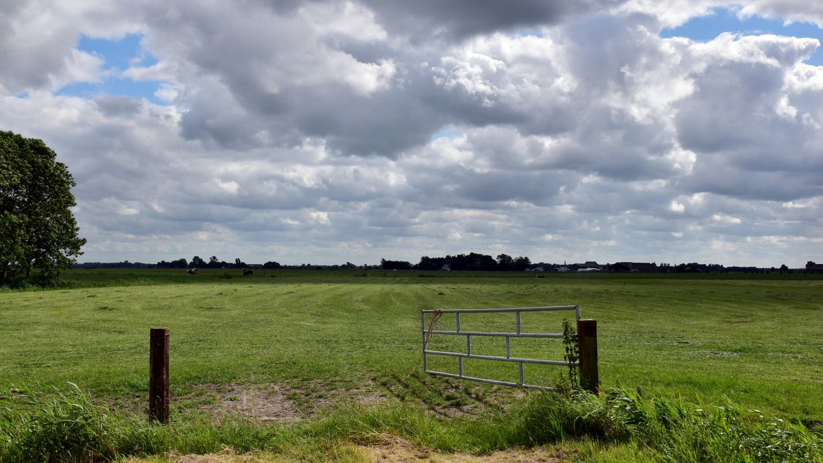 In een brief aan de minister slaat Waterschap Vallei en Veluwe alarm: vanwege de stikstofcrisis stoppen veel veehouders, maar nu komt er een ander probleem voor in de plaats h2owaternetwerk.nl/h2o-actueel/br…