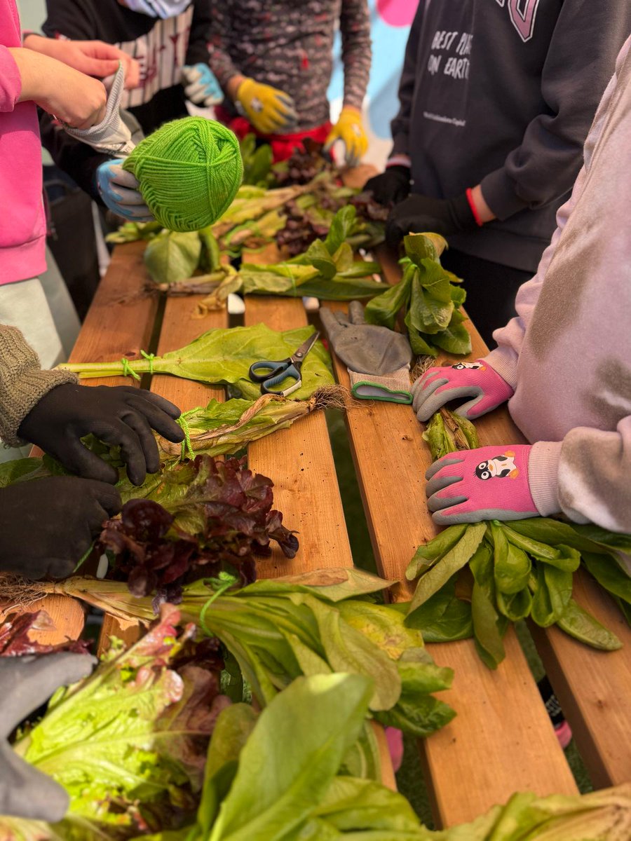 CEIP SAN JOSÉ OBRERO tweet media