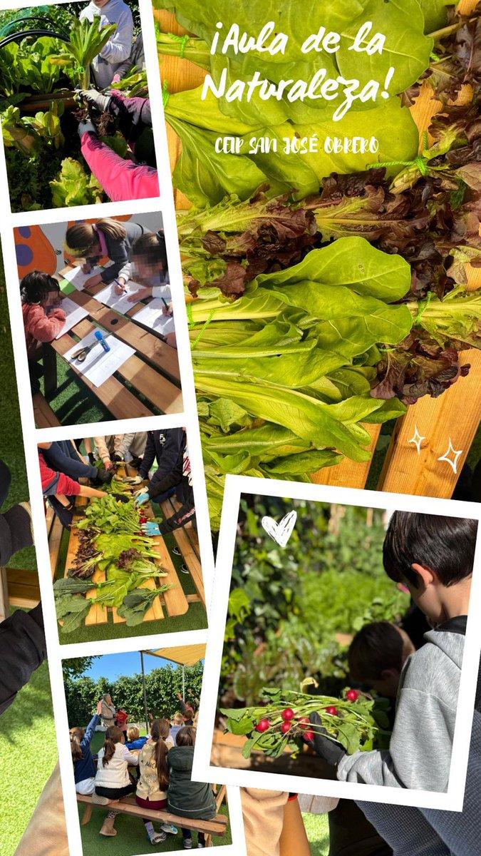 CEIP SAN JOSÉ OBRERO tweet media