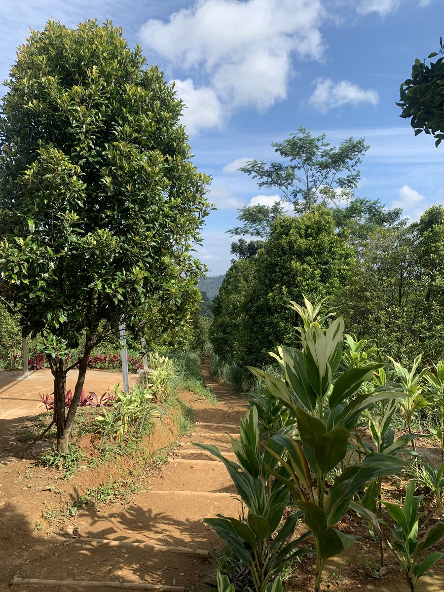 murislah's tweet photo. today i walked around 5km in Paniisan hills! https://t.co/fzD4A7Bt57