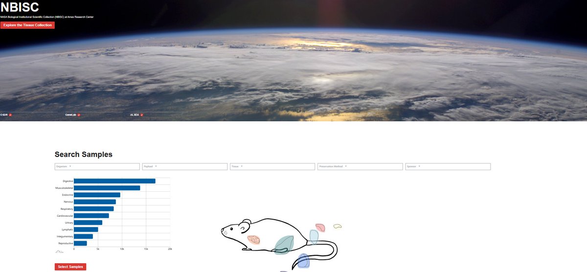 📣 Calling all researchers! Want to analyze space samples? With funding, you can now request specimens through the NBISC Biospecimen Search Tool! Explore 100K+ samples with advanced search &amp; visualization tools. Start your search today! #SpaceBiology

🌐 tinyurl.com/4n7kub4m