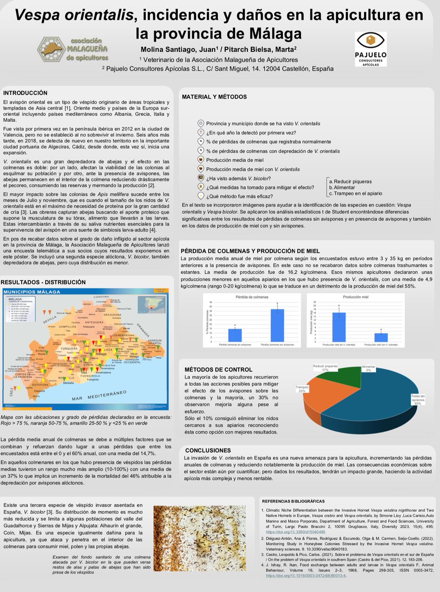 Presentamos poster en el Congreso Nacional de #Apicultura de Zamora 
Vespa orientalis, incidencia y daños en la apicultura en la provincia de Málaga 
#meliza