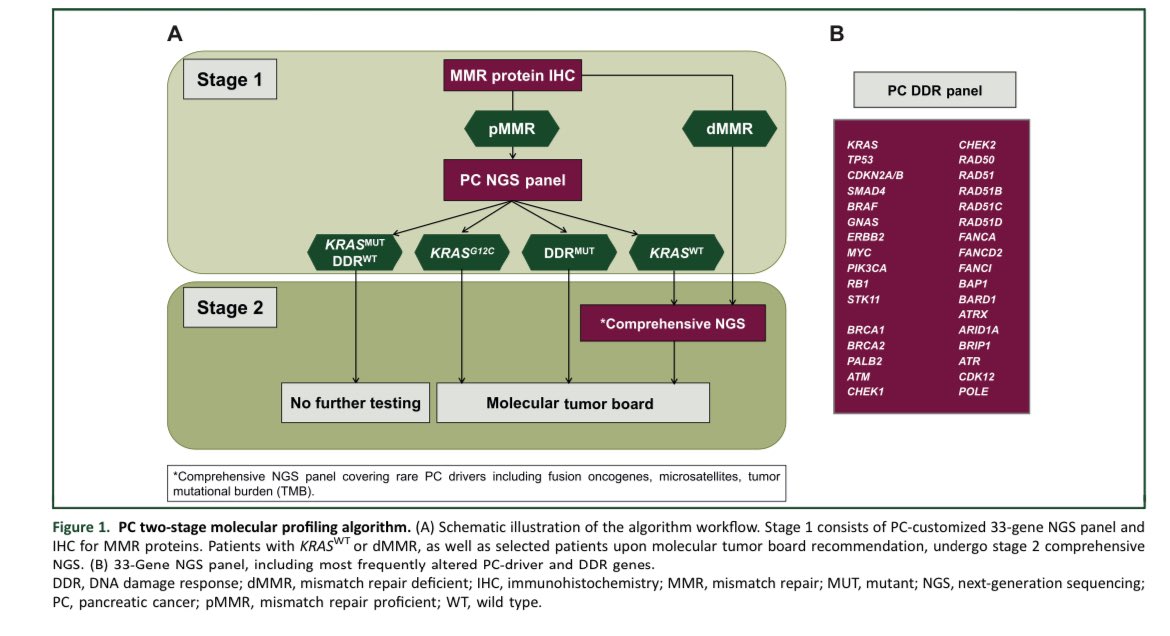 Erman_Akkus's tweet photo. 🧬Two-stage molecular testing in pancreatic cancer
@myESMO Gastrointestinal Oncology

✅It may be more feasible and cost-effective than upfront comprehensive profiling 

👉https://t.co/tYJCuZZK5V

@OncoAlert #cancer #oncology #MedX https://t.co/U8TgFxeHX8