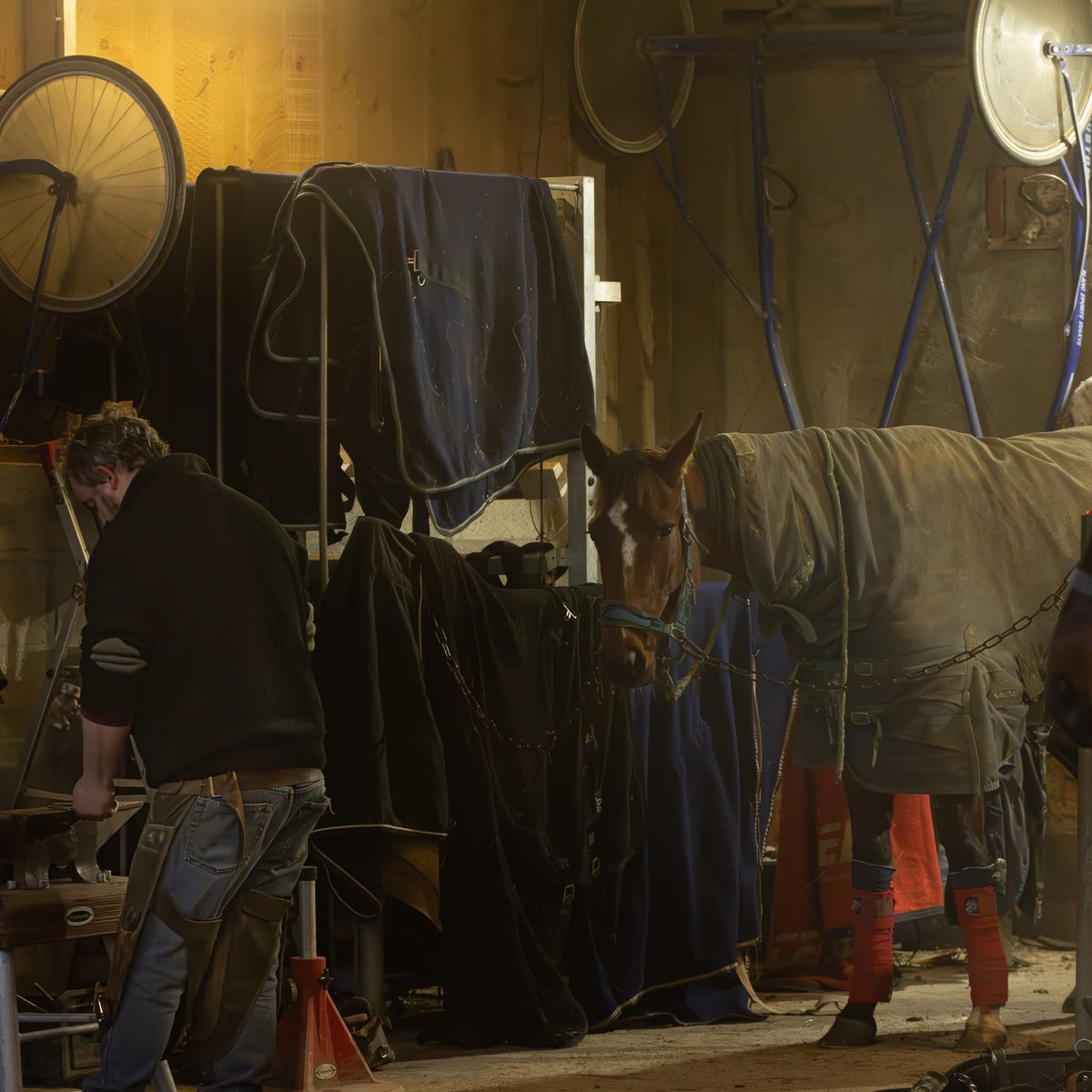Ce matin, le haras s’est réveillé sous un voile de brume, offrant une atmosphère à la fois mystérieuse et apaisante🌿🏇