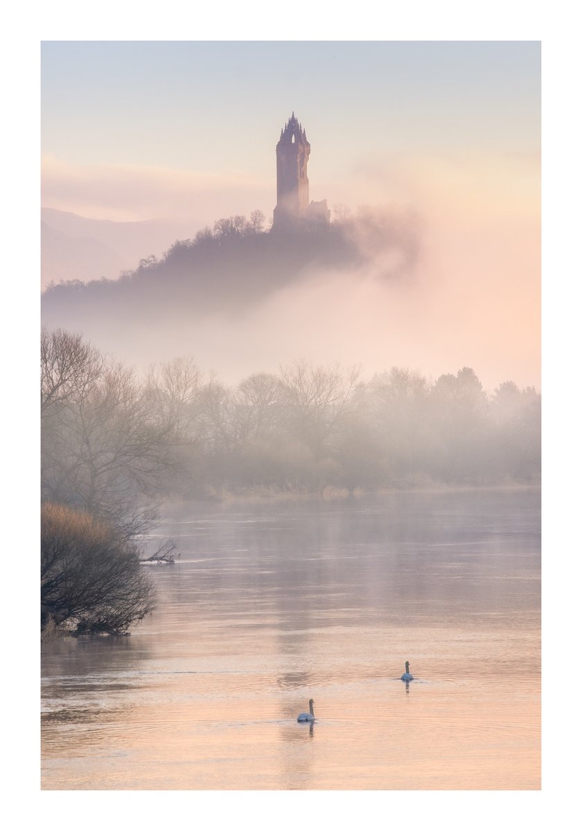 Fotospeed tweet media