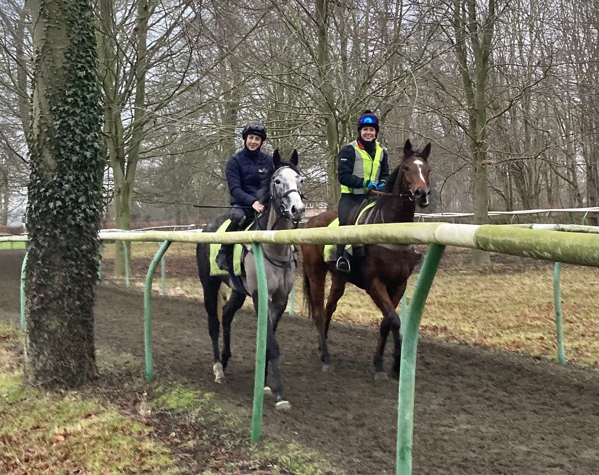 JohnWathenBerry's tweet photo. Another grey, raw day in Newmarket. Just 4 degrees even now in the afternoon. But a good day as we had some excellent help from @GinaMangan7 this morning. Very useful & very much appreciated #FlyingStar #TheMayor #SuitcaseSmith #Eljaytee #TarbatNess #HiddenPearl #Duchess https://t.co/jU4xalMdqU
