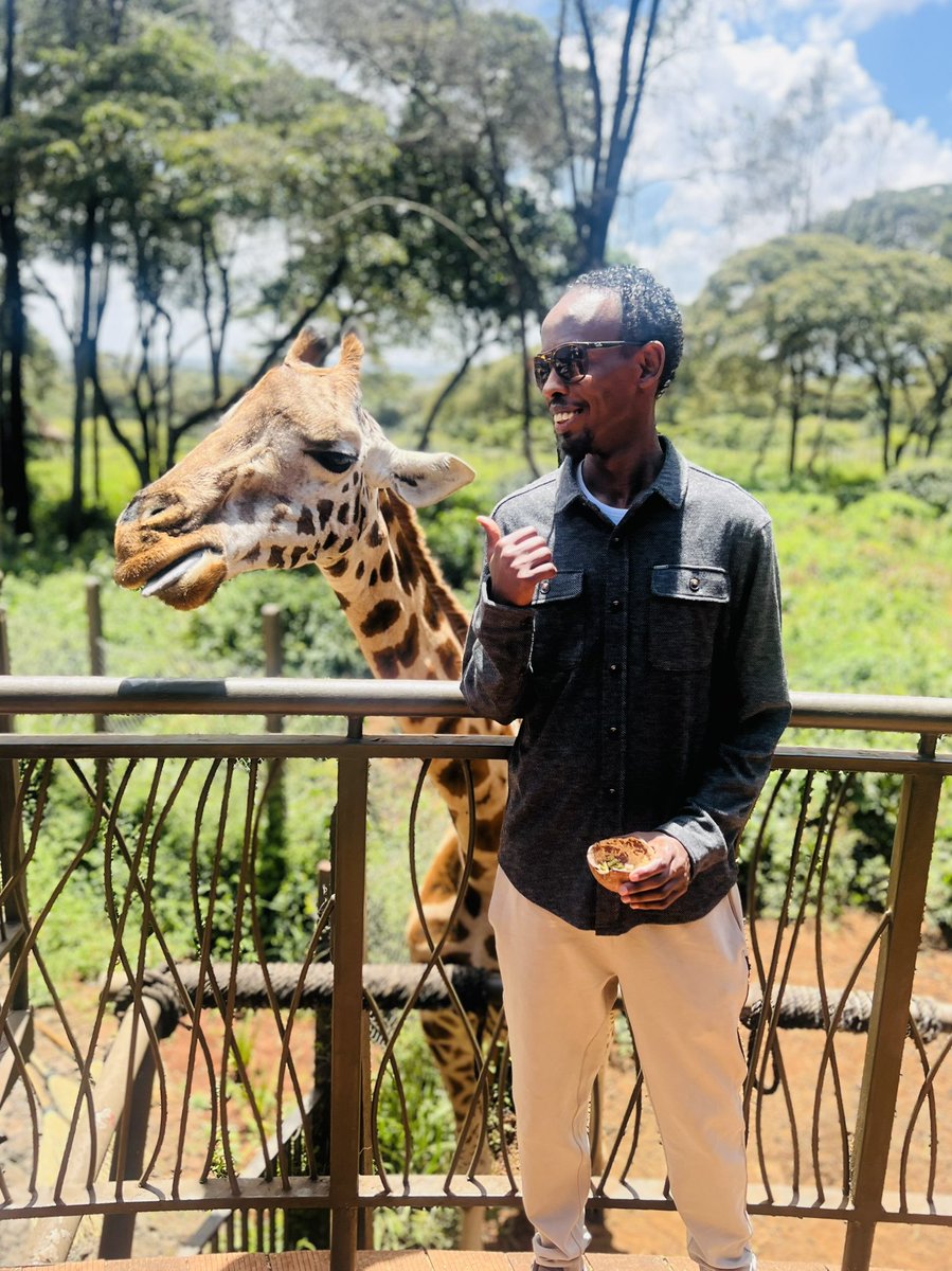 "🌿✨ Feeding a giraffe today and feeling on top of the world! These gentle giants have the most graceful nibbles. 🦒💚 #WildEncounters #GiraffeLove