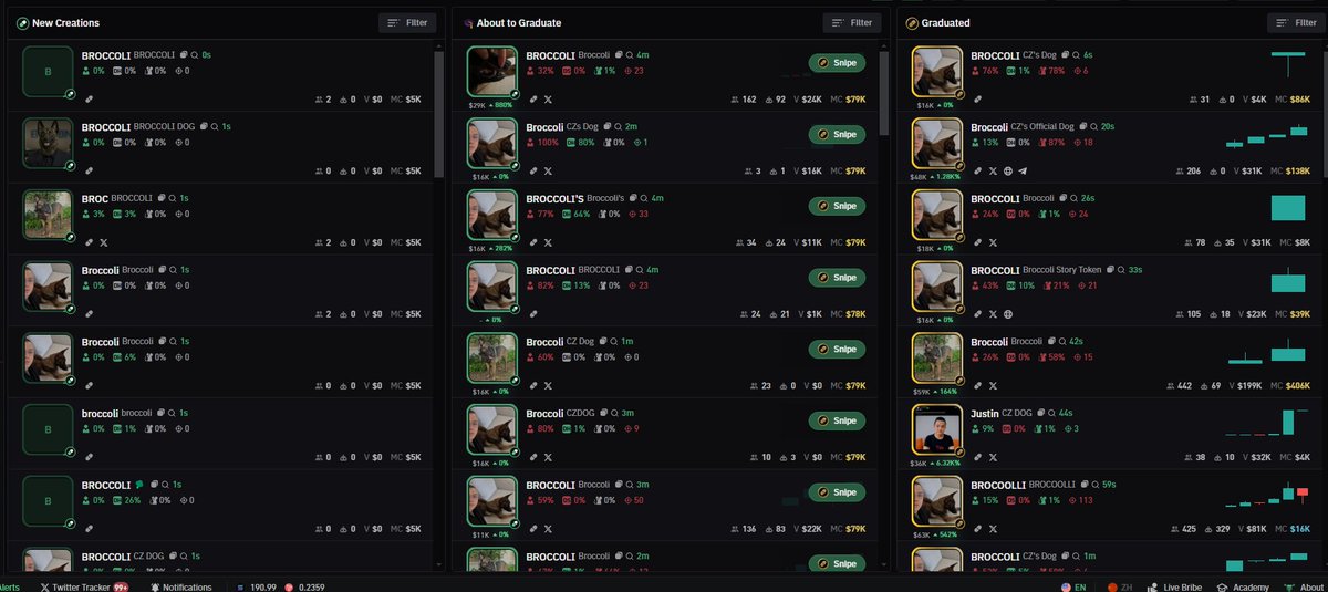 CZ just dropped a picture of his dog, Broccoli

Good luck!