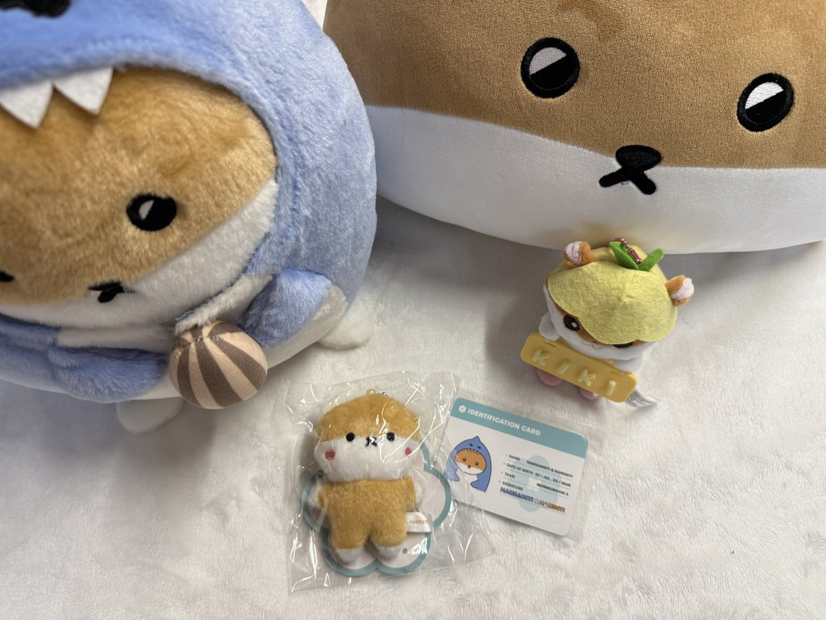 bebe_hahaha's tweet photo. 🧡기현 전역 #RT 이벤트🧡

우리 키키 전역...너무 기뿌자나🥹
전역의 기쁨 같이 누리면 좋을 것 같아서 ..🧡
친구들 알티많이해줘요🫡

🧡 몬베베 인증 가능(개인정보도 주셔야해용)
🧡 전역날 기현시 발표 
🧡 11월 담순 포토 셋트 1명 
       몬뭉치 햄슥이 미니미니인형 1명 https://t.co/KngtqSLRGk