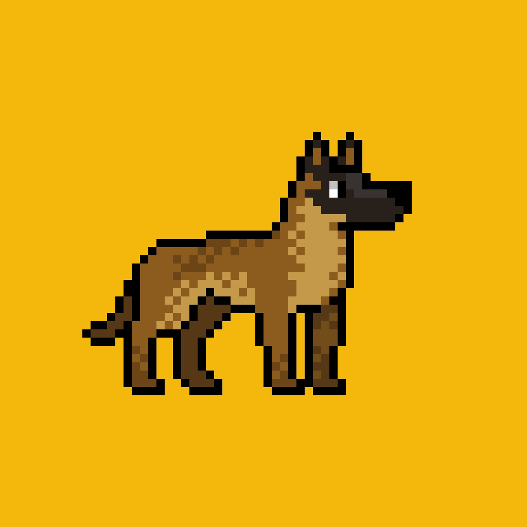 SASHA CHUDO tweet media