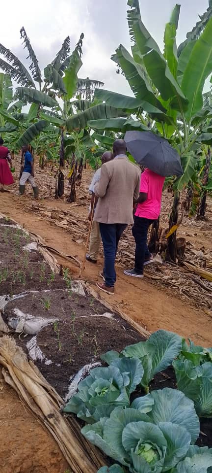 Kiruhura DLG (@kiruhuralg) on Twitter photo Kiruhura District Chairperson <a href="/Rmukago/">Mukago D Rutetebya</a> today had a farmer field day in Rwakobo Parish, Akayanja Sub County to ascertain the level of progress made in implementing a 4-Acre Model intervention aimed at fighting poverty in households. The progress is so impressive <a href="/MAAIF_Uganda/">MAAIF ๐บ๐ฌ</a> Kiruhura District Chairperson <a href="/Rmukago/">Mukago D Rutetebya</a> today had a farmer field day in Rwakobo Parish, Akayanja Sub County to ascertain the level of progress made in implementing a 4-Acre Model intervention aimed at fighting poverty in households. The progress is so impressive <a href="/MAAIF_Uganda/">MAAIF ๐บ๐ฌ</a>