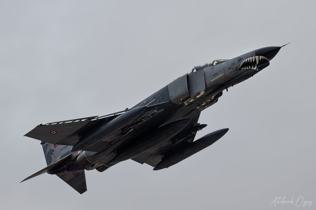 ataberkozNFT's tweet image. TERMINATOR
#F4E