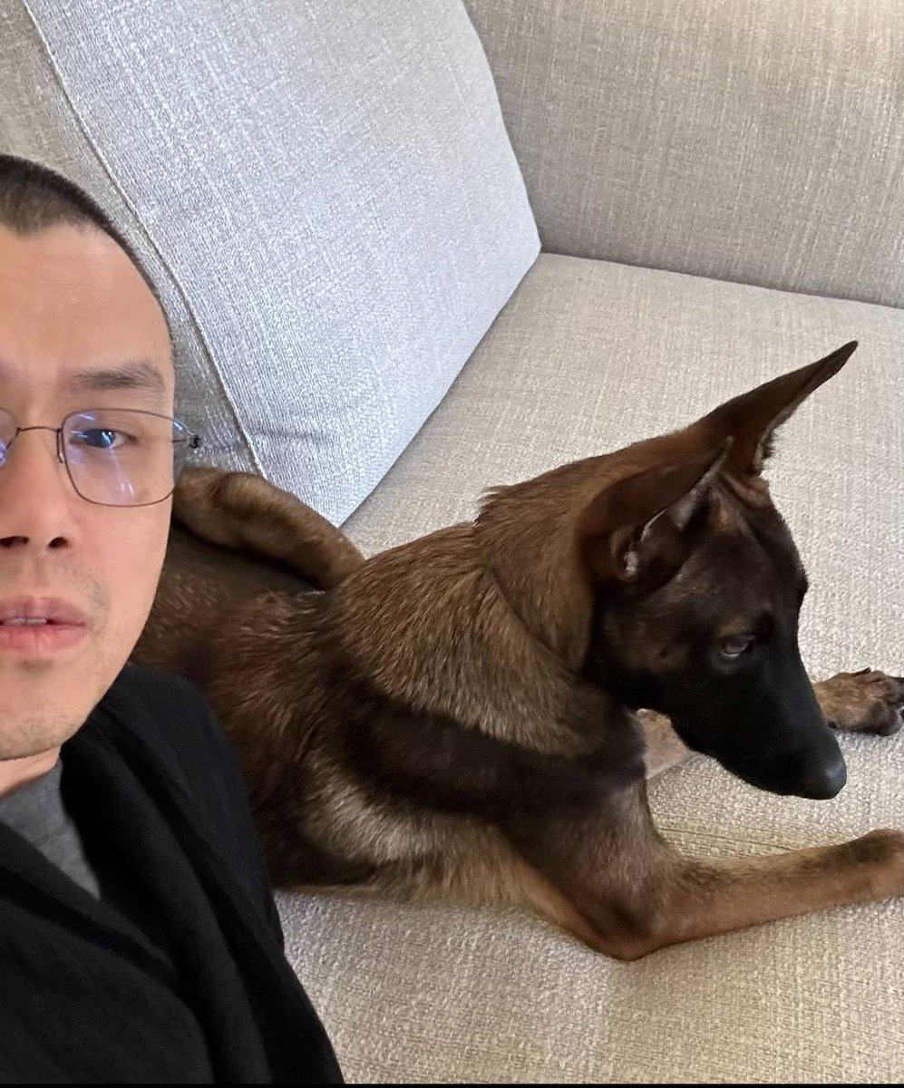 CZ’s dog #BROCCOLI is #LIVE on $BSC! 🐾 🐕 

0x12819623921Be0F4d5ebfC12C75E6D08a1683080

t.me/BroccoliOnBNB

geckoterminal.com/bsc/pools/0xe3…