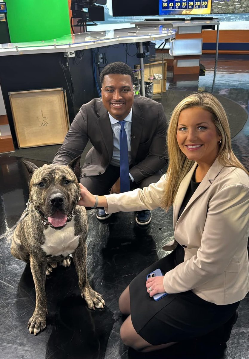 Jennifer Baileys tweet media