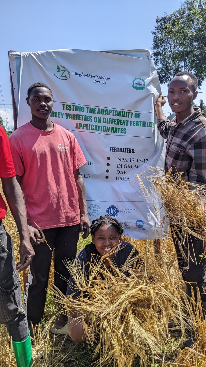 HingÂMAFARANGA RWANDA NGO tweet media