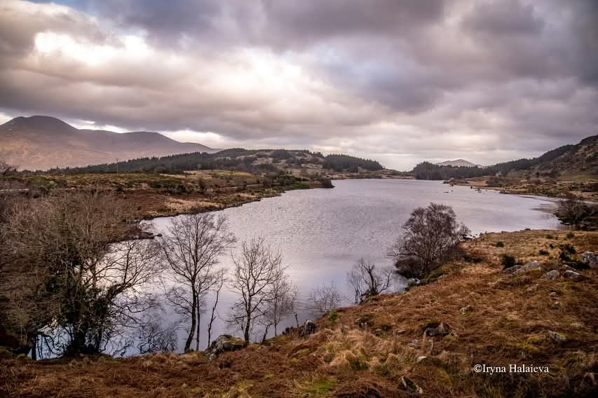 ThisIsIreland3's tweet photo. Killarney National Park ๐๏ธ๐ฎ๐ช
Beautiful scenes, no matter the season ๐ฆ
๐Co, Kerry, Ireland โ๏ธ
๐ธ Iryna Halaieva
#Kerry #Ireland #VisitKerry https://t.co/WWF3kVJhaI
