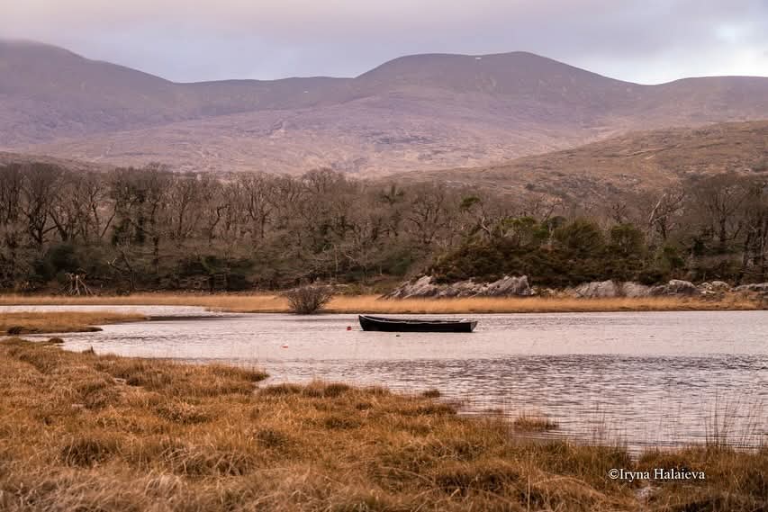 ThisIsIreland3's tweet photo. Killarney National Park ๐๏ธ๐ฎ๐ช
Beautiful scenes, no matter the season ๐ฆ
๐Co, Kerry, Ireland โ๏ธ
๐ธ Iryna Halaieva
#Kerry #Ireland #VisitKerry https://t.co/WWF3kVJhaI