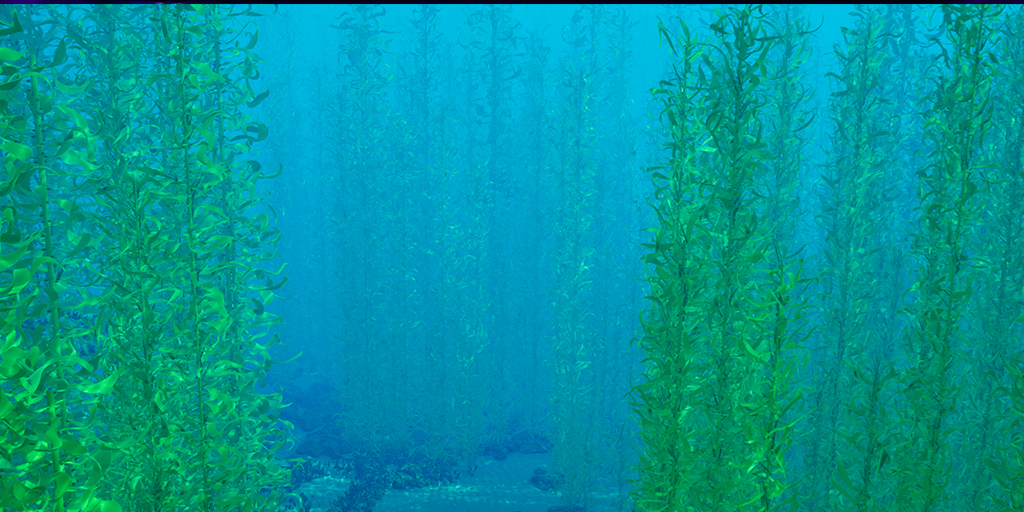 Layers of Reality tweet media