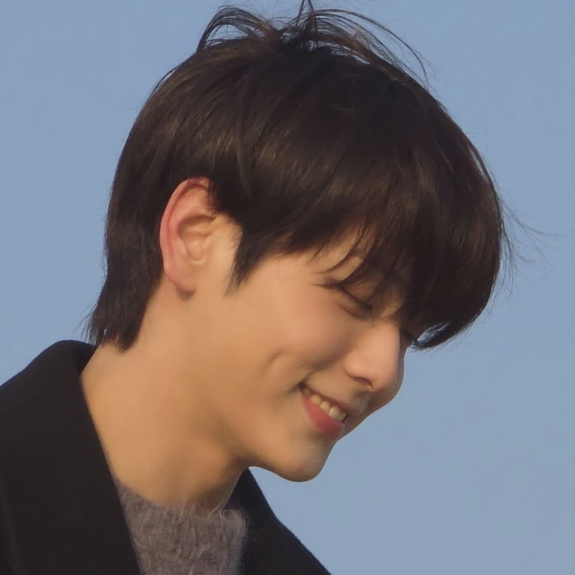 넓디넓은 나의 숲아