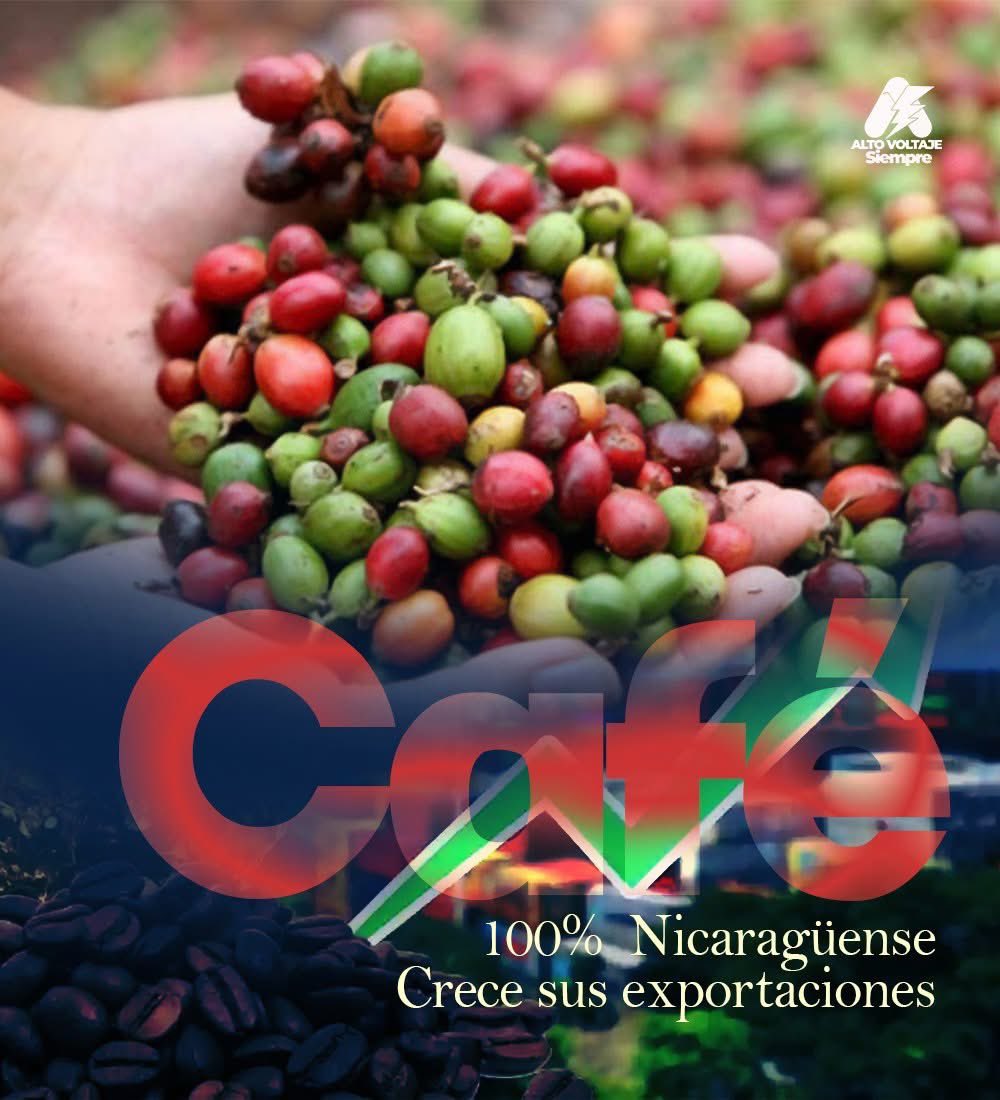 Producción, crecimiento y mejora en la  calidad impulsan exportaciones del café nicaragüense.
Mas Detalles en : acortar.link/TPqKjy 
#2025AvanzandoEnLaRevolución
#NicaraguaConDanielYRosario
#SandinoLuzYVerdad