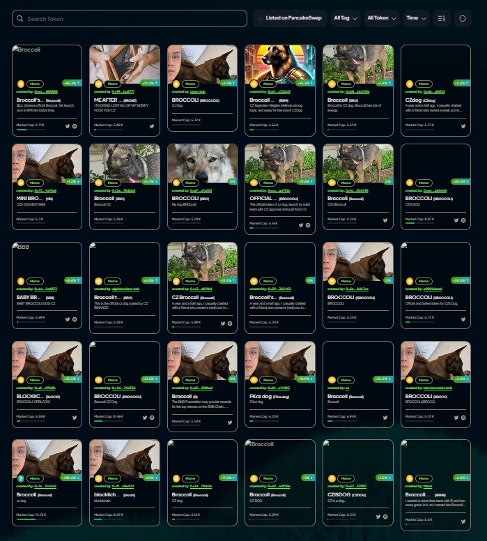 Congrats <a href="/cz_binance/">CZ 🔶 BNB</a>, you managed to outdone yourself. This is beyond stupid.