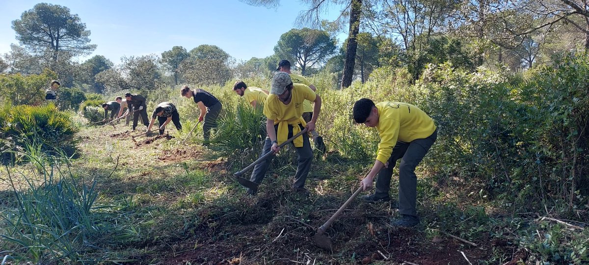 Pasamos la mañana con alumnos del 2° curso de ciclos forestales del <a href="/IESAljanadic/">IES Aljanadic</a> de #Posadas, mostrándoles aspectos de los trabajos preventivos (planificación, organización, ejecución y seguridad).

✅ La actividad ha sido visada por el #TOP Kiko Sánchez, Cedefo de Villaviciosa.