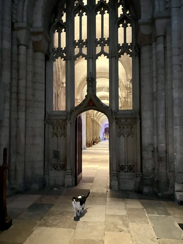 Barendina Smedley tweet media