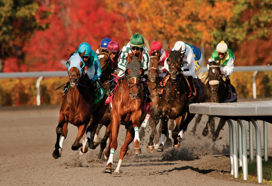 SportsPlanningGuide tweet media