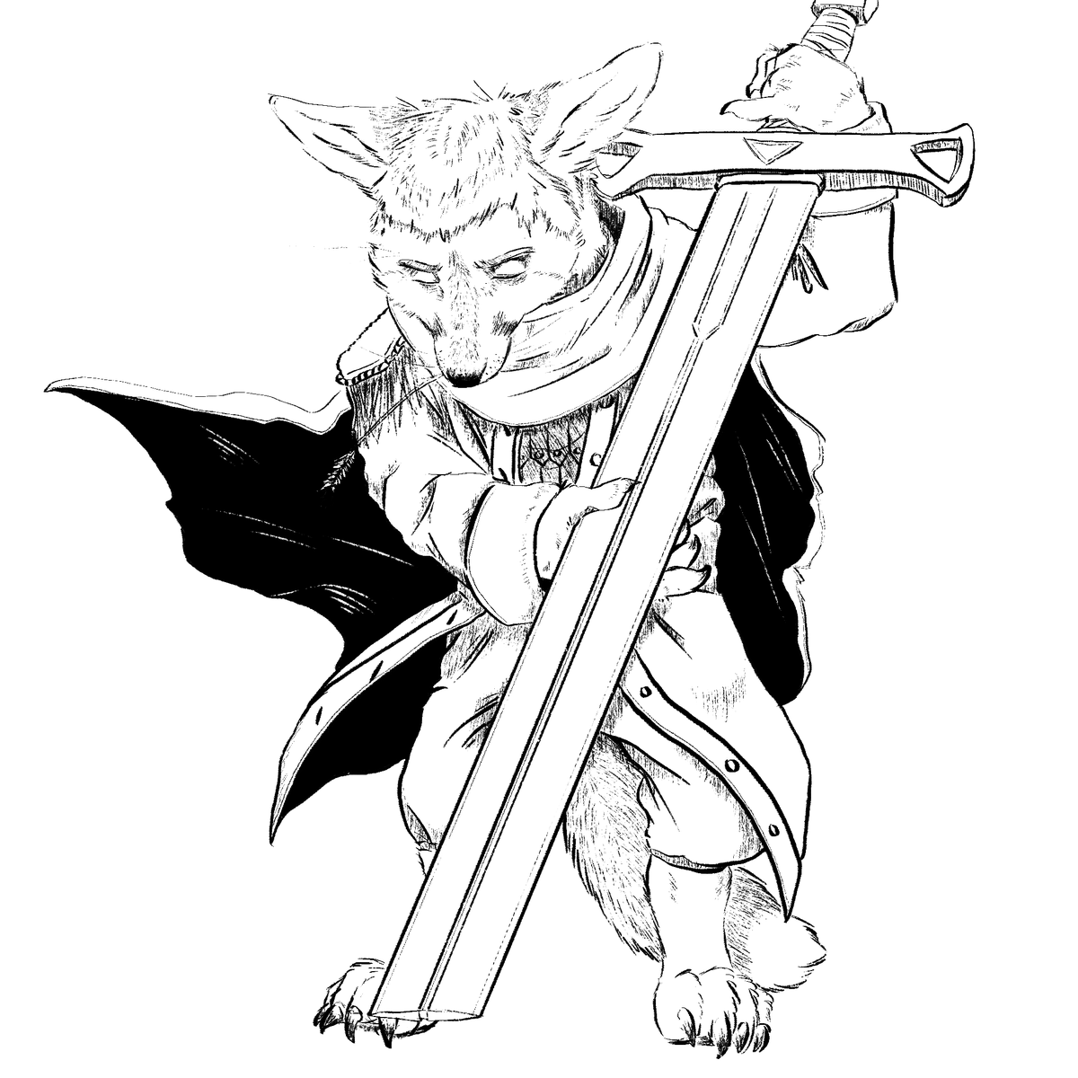 🛤Hi I’m Rohly🏜 tweet media