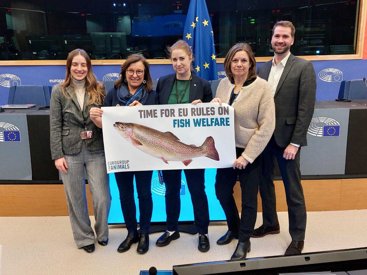 Eurogroup For Animals tweet media