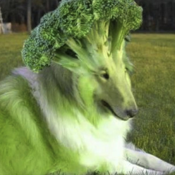 kolbaskink's tweet photo. $Broccoli real one  

https://t.co/MBSA0X9TnC https://t.co/hrUuRcrQB2