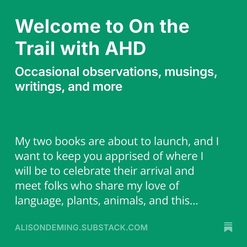 AlisonDeming tweet media