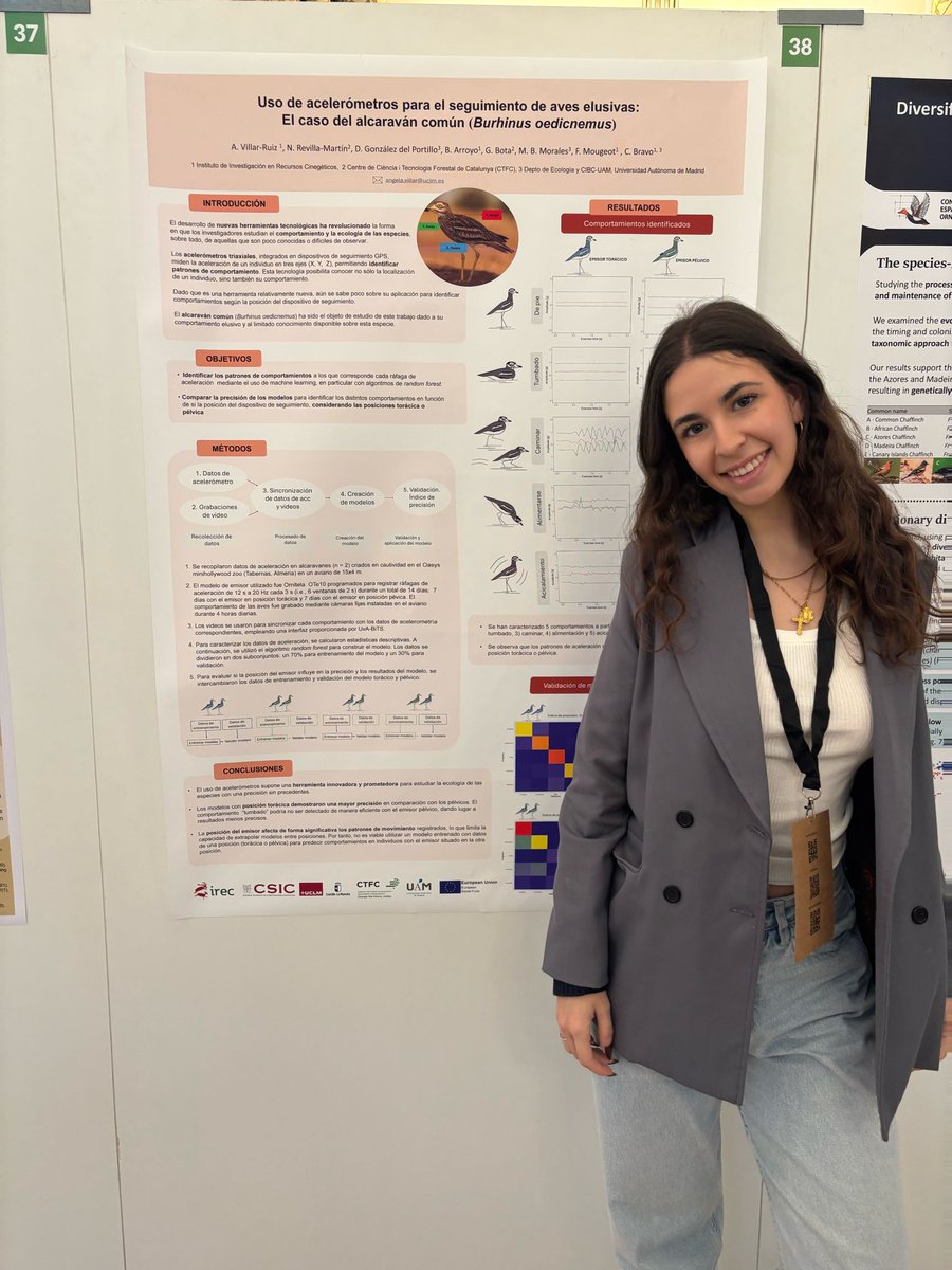¿Te interesa cómo los acelerómetros 📡están revolucionando el estudio del comportamiento animal? Visita nuestro póster📜 en el #26CEO, donde Ángela Villar te explicará todo sobre su aplicación en el estudio del alcaraván
📢No te lo pierdas!! ✨🔎#SteppeBirds #MovementEcology