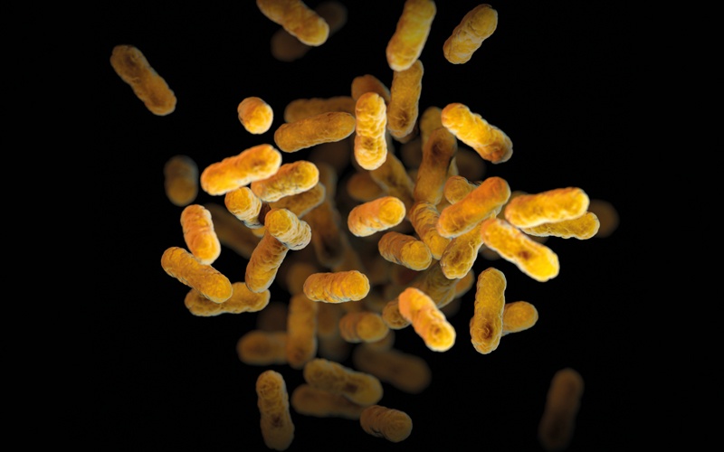 The Biomedical Scientist Magazine looks at how researchers have come up with a new way to identify more infectious variants of viruses or bacteria that start spreading in humans – including those causing flu, COVID, whooping cough and tuberculosis. thebiomedicalscientist.net/2025/01/30/sys…