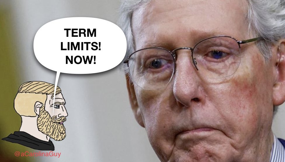 Mitch McConnell is the POSTER CHILD for Term Limits!
