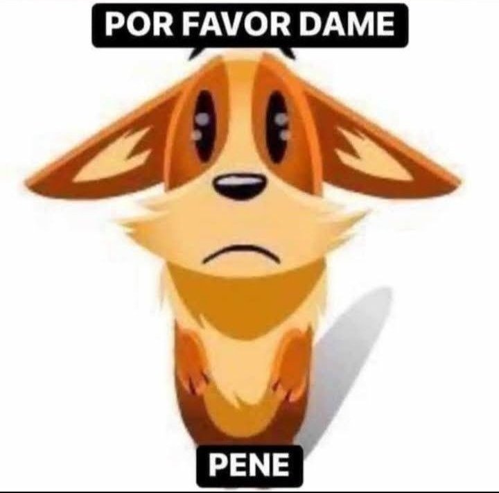 Alessito🔞 tweet media