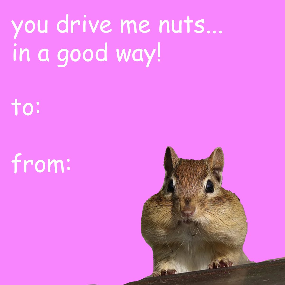 STEMSquirrels's tweet photo. Love is in the air! We wanted to share some cute squirrel-themed Valentine's Day cards for you wildlife enthusiasts to send to your loved ones! Print these out or share them online with your favorite person tomorrow! ❤️ Bonus: Comment below your own Valentine's squirrel pun!
#wildlifelovers #wildlife #squirrels #squirrelnet #stemsquirrels #valentinesday #valentines