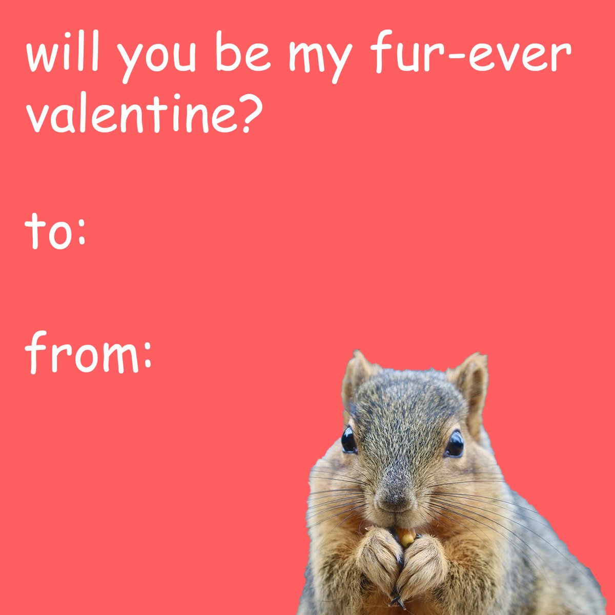 STEMSquirrels's tweet photo. Love is in the air! We wanted to share some cute squirrel-themed Valentine's Day cards for you wildlife enthusiasts to send to your loved ones! Print these out or share them online with your favorite person tomorrow! ❤️ Bonus: Comment below your own Valentine's squirrel pun!
#wildlifelovers #wildlife #squirrels #squirrelnet #stemsquirrels #valentinesday #valentines