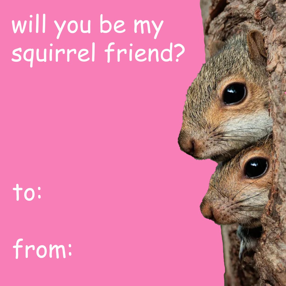 STEMSquirrels's tweet photo. Love is in the air! We wanted to share some cute squirrel-themed Valentine's Day cards for you wildlife enthusiasts to send to your loved ones! Print these out or share them online with your favorite person tomorrow! ❤️ Bonus: Comment below your own Valentine's squirrel pun!
#wildlifelovers #wildlife #squirrels #squirrelnet #stemsquirrels #valentinesday #valentines