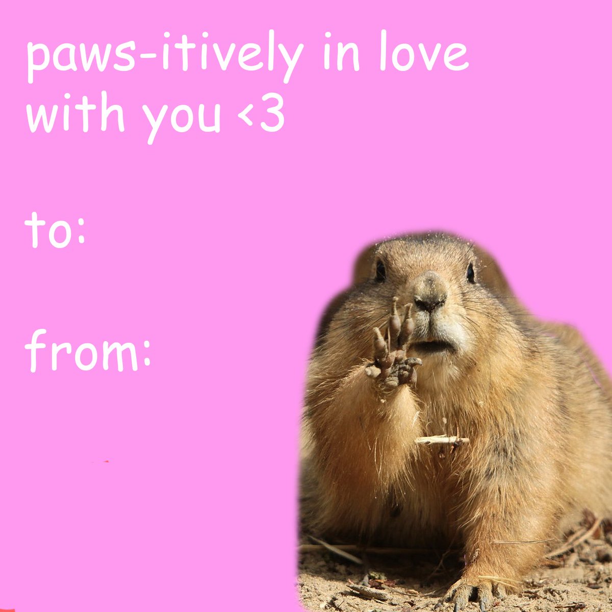 Love is in the air! We wanted to share some cute squirrel-themed Valentine's Day cards for you wildlife enthusiasts to send to your loved ones! Print these out or share them online with your favorite person tomorrow! ❤️ Bonus: Comment below your own Valentine's squirrel pun!