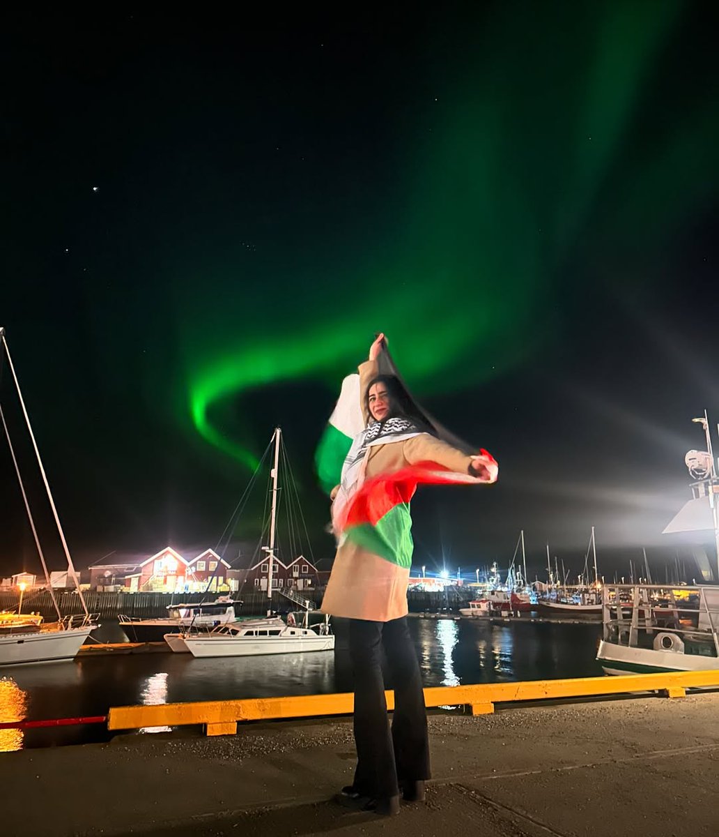 PALESTINE ONLINE 🇵🇸 tweet media