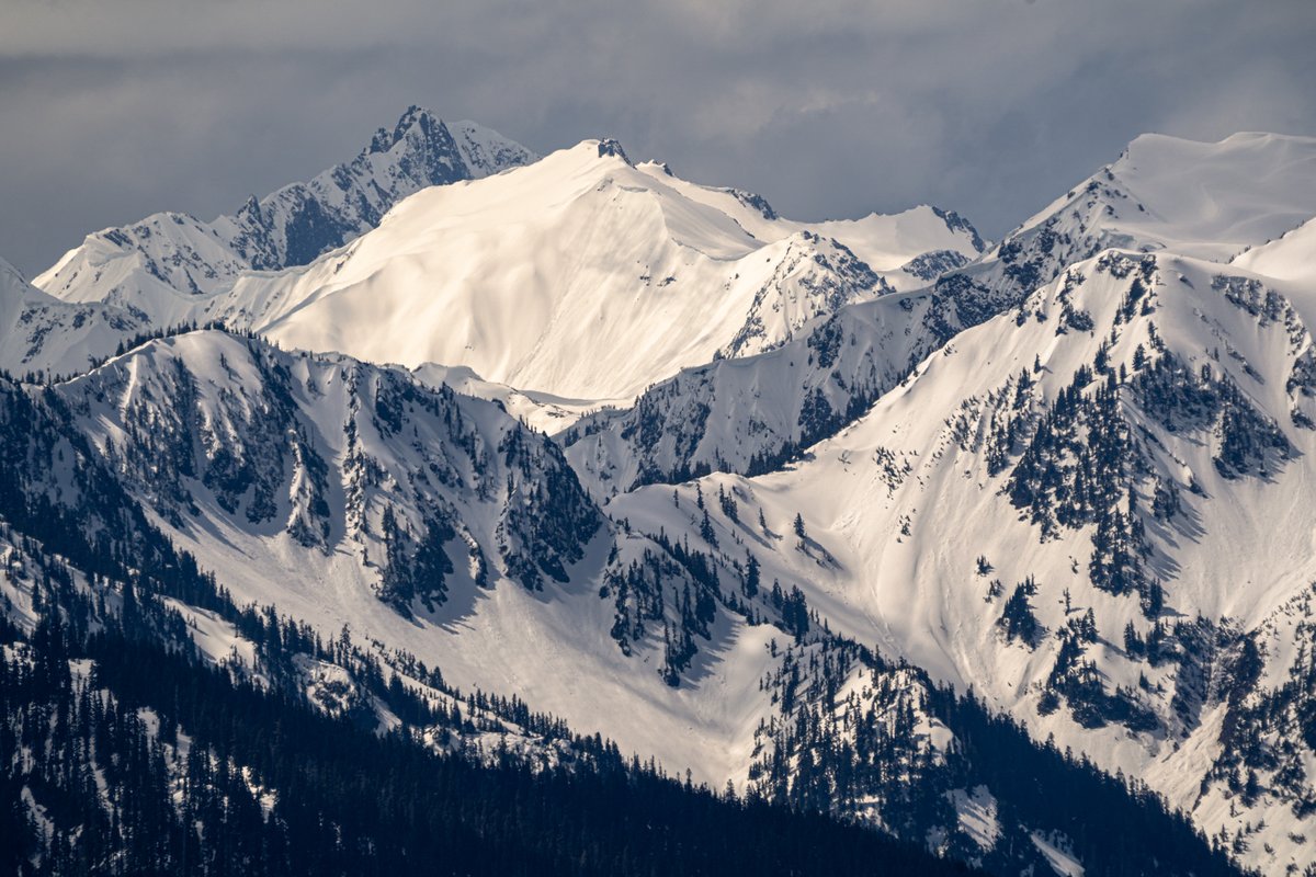 Join us this spring in Olympic National Park! Workshop runs May 15 - 19.

Details here: benjaminwilliamsonphotography.com/olympic-may-20…