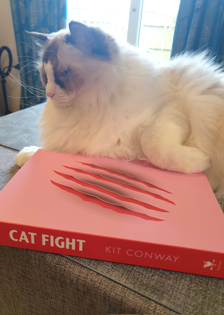 Ellie Hawkes tweet media