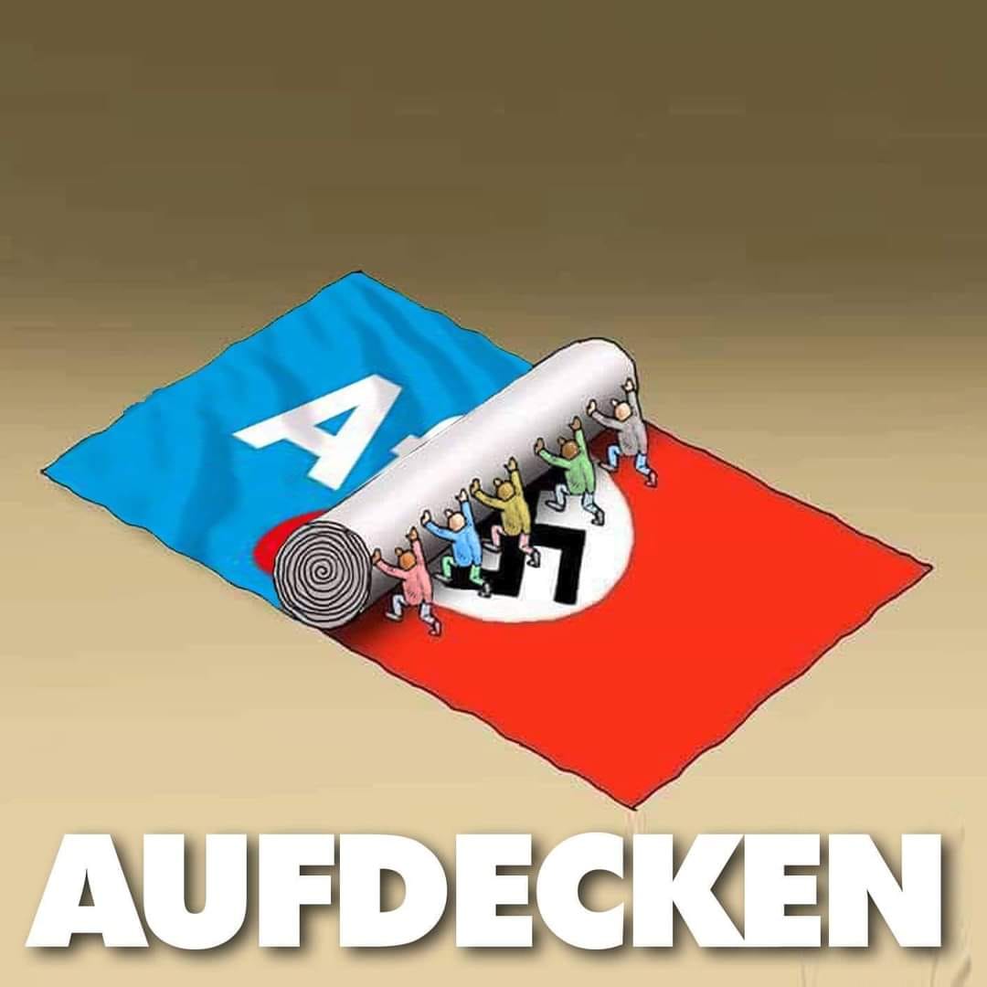 Mallorca_Vida's tweet photo. @jreichelt Es muss nur eines passieren! Die #AfDmachtDumm muss verboten werden, und deine rechte Fakenews Gazette geschlossen! https://t.co/4DJjJT60FQ