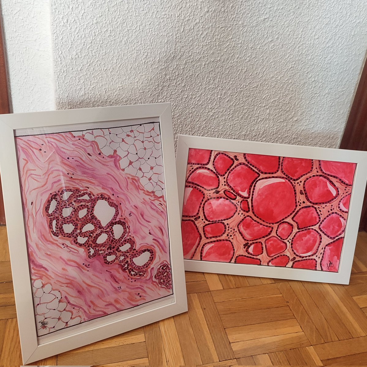 Lo que me gustaría empezar un micronegocio de acuarelas de anatomía patológica
